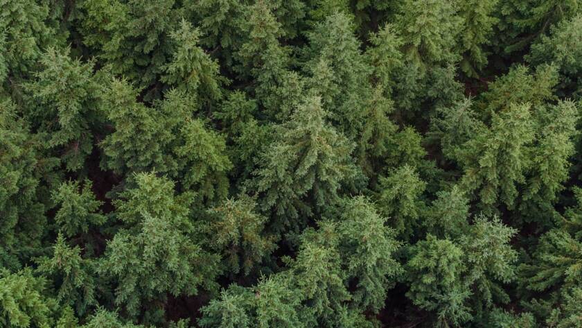 Modern-Asset-Ownership-with-ProspecTree