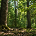 Living Assets Have Biological Cycles